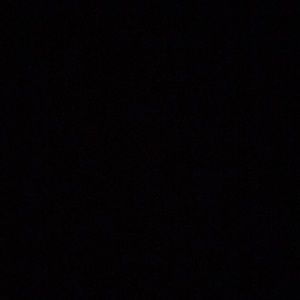 Meet your Posher, Dawshon